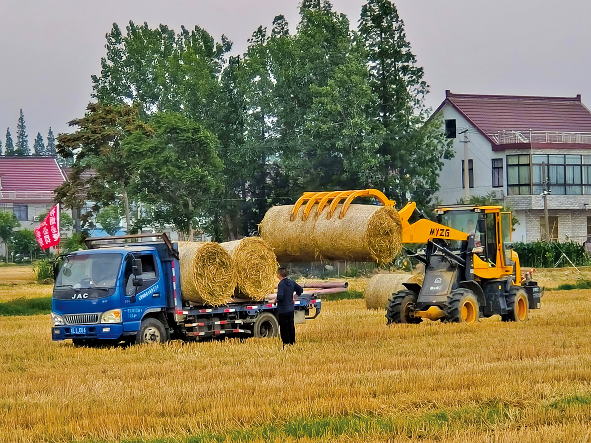 圖片8.png 圖片8.png